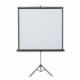 Ekran projekcyjny POP przenośny na trójnogu, format 4:3 108 x 147 cm